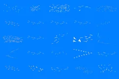 100 BIRD FLOCK TRANSPARENT PNG ANIMAL PHOTOSHOP OVERLAYS Product Image 9