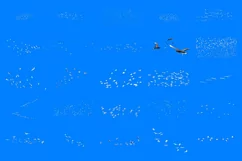 100 BIRD FLOCK TRANSPARENT PNG ANIMAL PHOTOSHOP OVERLAYS Product Image 8
