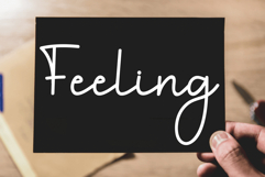 Bird House Product Image 5