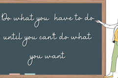 Bird House Product Image 4