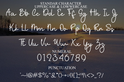 Bird House Product Image 7