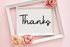 Bird House Product Image 2