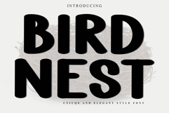 Bird Nest Product Image 1