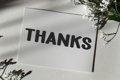 Bird Nest Product Image 8