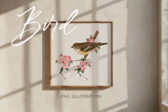 Hand Drawn Spring Bird on Branch PNG Product Image 1