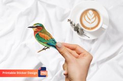 Bird Sticker, Unique bird decal Sticker Product Image 1