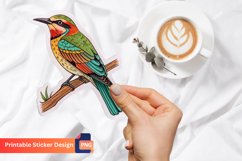 Bird Sticker, Colorful Bird Decals, Cute Bird Vinyl Sticker Product Image 1