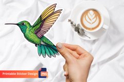 Bird Sticker, Colorful Bird Decals, Cute Bird Vinyl Sticker Product Image 1