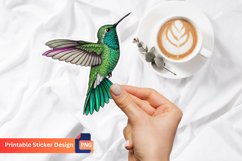Bird Sticker, Colorful Bird Decals, Cute Bird Vinyl Sticker Product Image 1