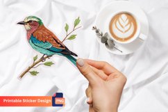 Bird Sticker, Colorful Bird Decals, Cute Bird Vinyl Sticker Product Image 1