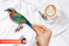 Bird Sticker, Colorful Bird Decals, Cute Bird Vinyl Sticker Product Image 1