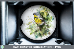 GorgeousBirds 01 Sketch Car Coaster design.