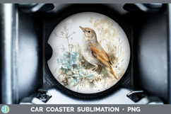 GorgeousBirds 02 Sketch Car Coaster design.
