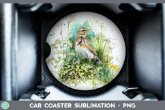 GorgeousBirds 02 Sketch Car Coaster design.