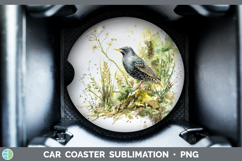 GorgeousBirds 02 Sketch Car Coaster design.