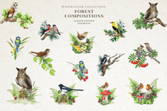 Woodland Animals Product Image 6