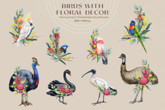 Australia Flora and Fauna Hand Drawn Illustration Set Product Image 17