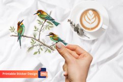 Bird Sticker, Colorful Bird Decals, Bird Lovers Wall Art Product Image 1