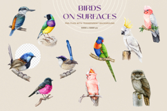 Australia Flora and Fauna Hand Drawn Illustration Set Product Image 10