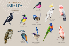 Australia Flora and Fauna Hand Drawn Illustration Set Product Image 5