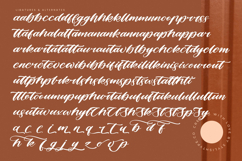 Birdsta Creamy - Bold Calligraphy Script Font Product Image 19