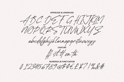 Birjhon Casual Signature Brush Font Product Image 6