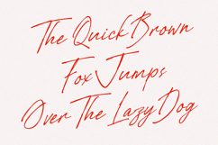 Birjhon Casual Signature Brush Font Product Image 7