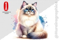 Birman Cat Clipart - PNG File Product Image 1
