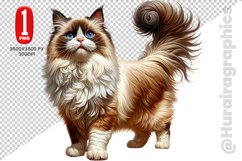 Birman Cat Clipart - PNG File Product Image 1