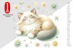 Birman Cat Clipart - PNG File Product Image 1