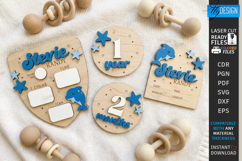 Baby Monthly Milestone Laser cut - Newborn Announcement Sign Product Image 3