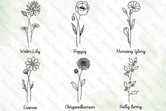 Birth Flower Svg Png Sublimation Bundle Product Image 3