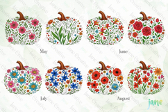 Birth Month Floral Pumpkin Clipart Product Image 4