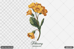 Birth Month Flower Watercolor Art Bundle Product Image 3
