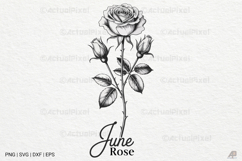 Birth Month Flowers SVG PNG Bundle Vol.2 Product Image 14