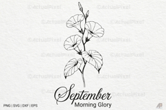 Birth Month Flowers SVG PNG Product Image 1