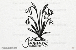Birth Month Flowers SVG PNG Product Image 1