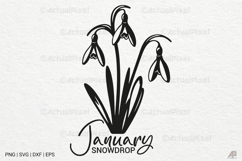 Birth Month Flowers SVG PNG Product Image 1