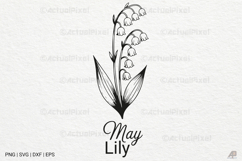 Birth Month Flowers SVG PNG Product Image 1