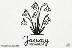 Birth Month Flowers Line Art SVG PNG Bundle Product Image 2