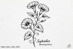 Birth Month Flowers Line Art SVG PNG Product Image 1
