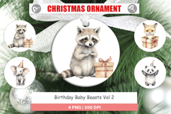 Ornament Birthday Baby Beasts Product Image 1