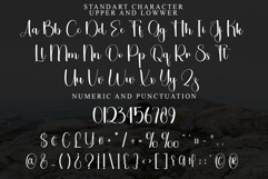 Birthday Santa Product Image 3