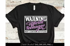 Official Teenager 13th SVG Birthday shirt SVG Happy Cheers Product Image 1