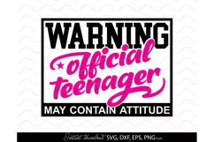 Official Teenager 13th SVG Birthday shirt SVG Happy Cheers Product Image 2