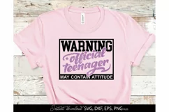 Official Teenager 13th SVG Birthday shirt SVG Happy Cheers Product Image 4
