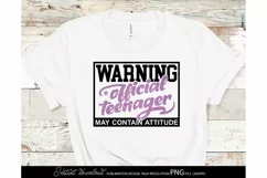 Official Teenager 13th SVG Birthday shirt SVG Happy Cheers Product Image 3