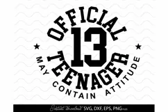 Official Teenager 13th SVG Birthday shirt SVG Happy Cheers Product Image 2