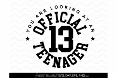 Official Teenager 13th SVG Birthday shirt SVG Happy Cheers Product Image 2