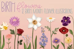 Birth Flowers|12 PNG Birthday Month Flower illustrations Product Image 1